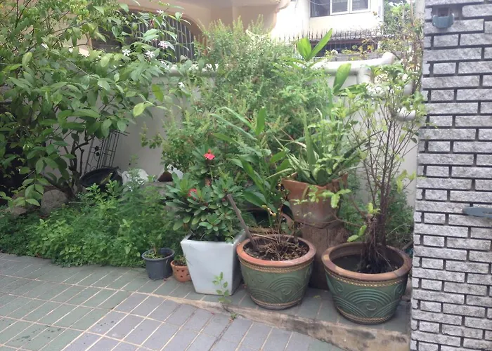 Mango At 38 *